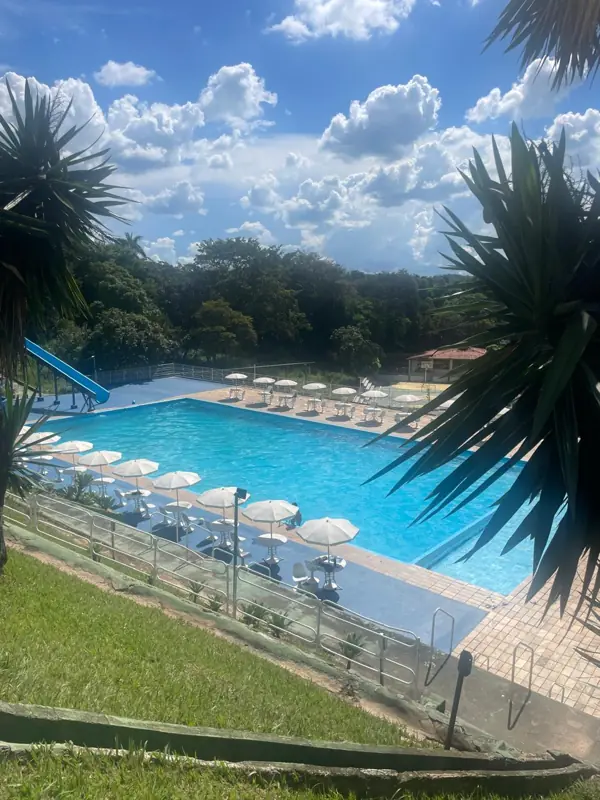 Piscina entre palmeiras